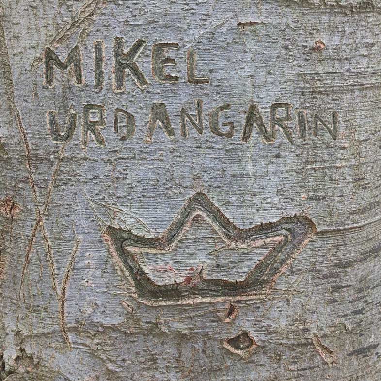 Mikel Urdangarin